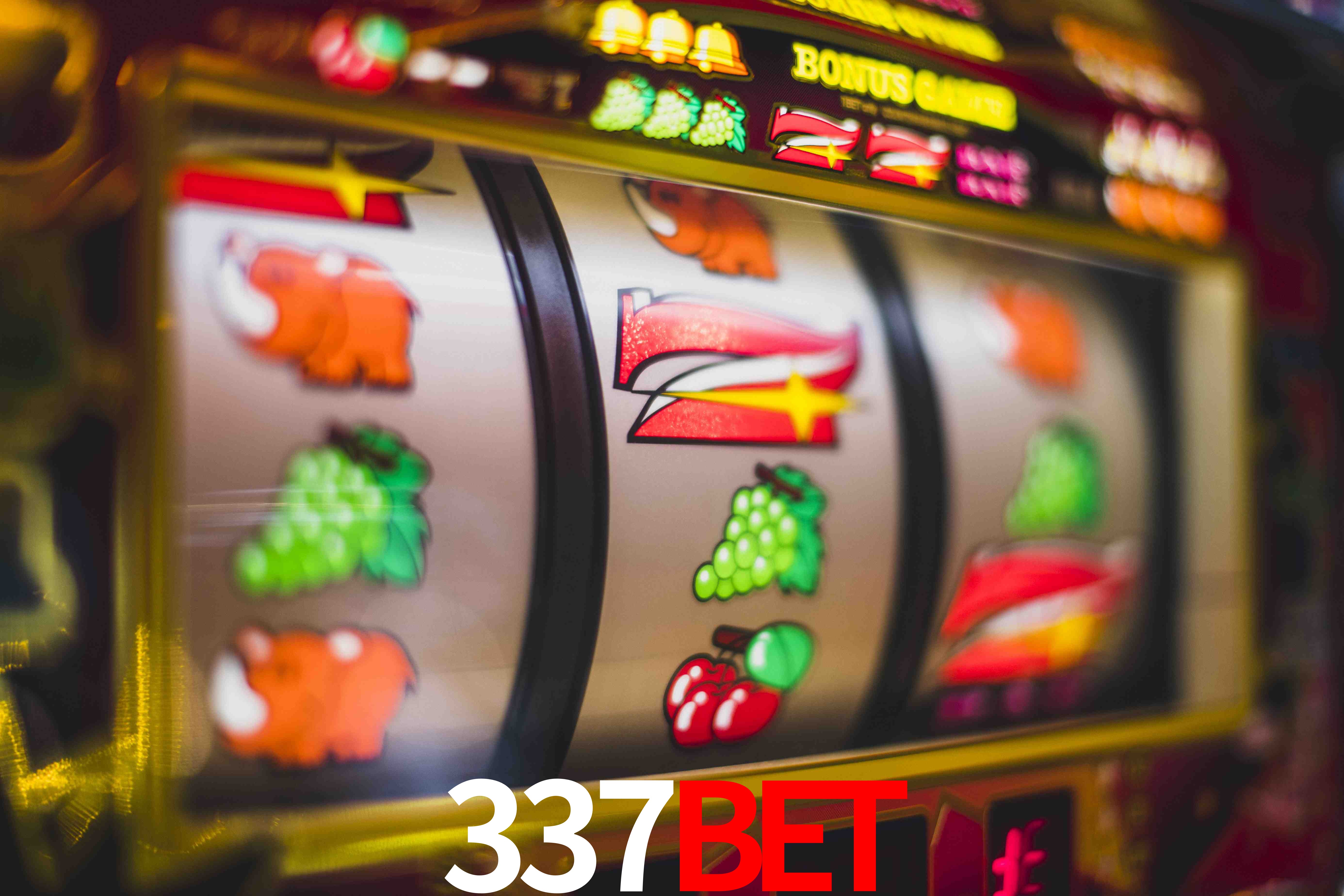 Tennis Betting 337bet